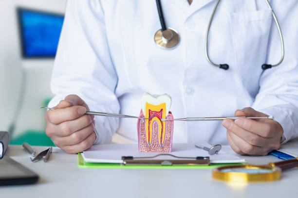 Best Emergency Orthodontic Repairs in Annapolis Neck, MD